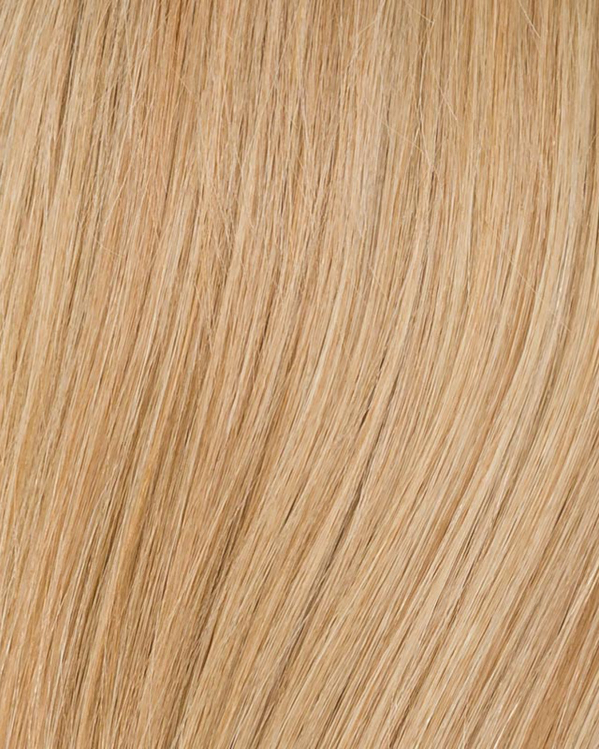 Obsession Deluxe Wig by Ellen Wille - Lace Front Mono Top Remy Human Hair